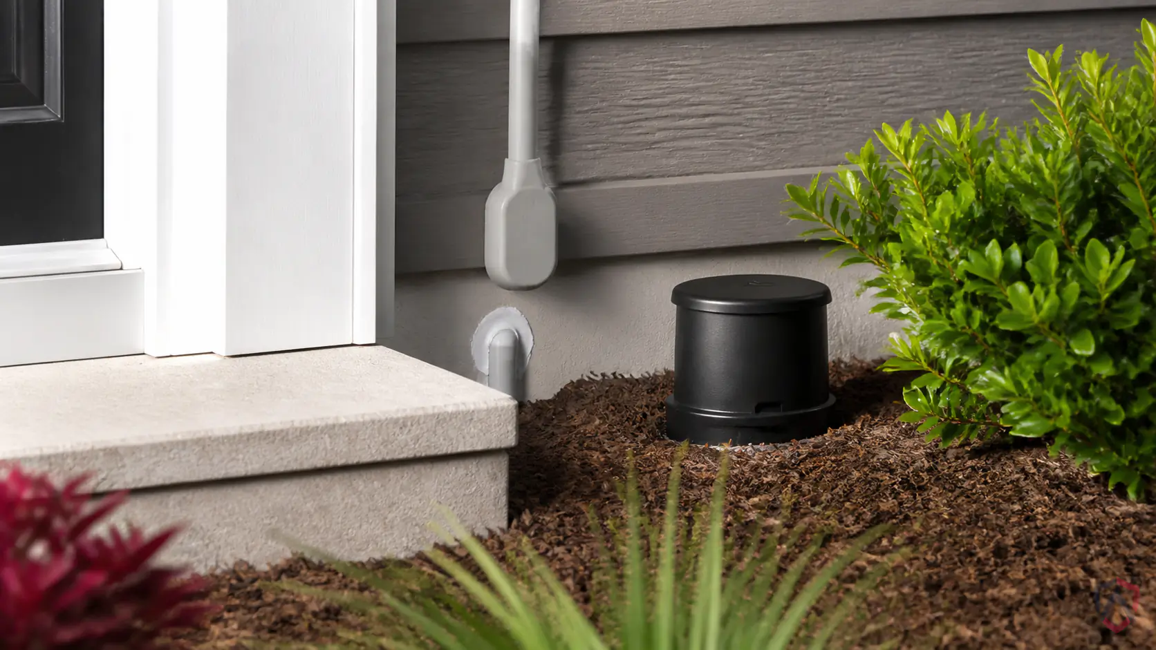 New Homeowner Pest close-up, a protected Minnesota home in a Twin Cities home
